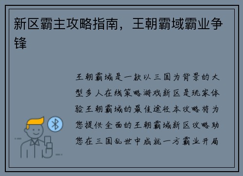 新区霸主攻略指南，王朝霸域霸业争锋